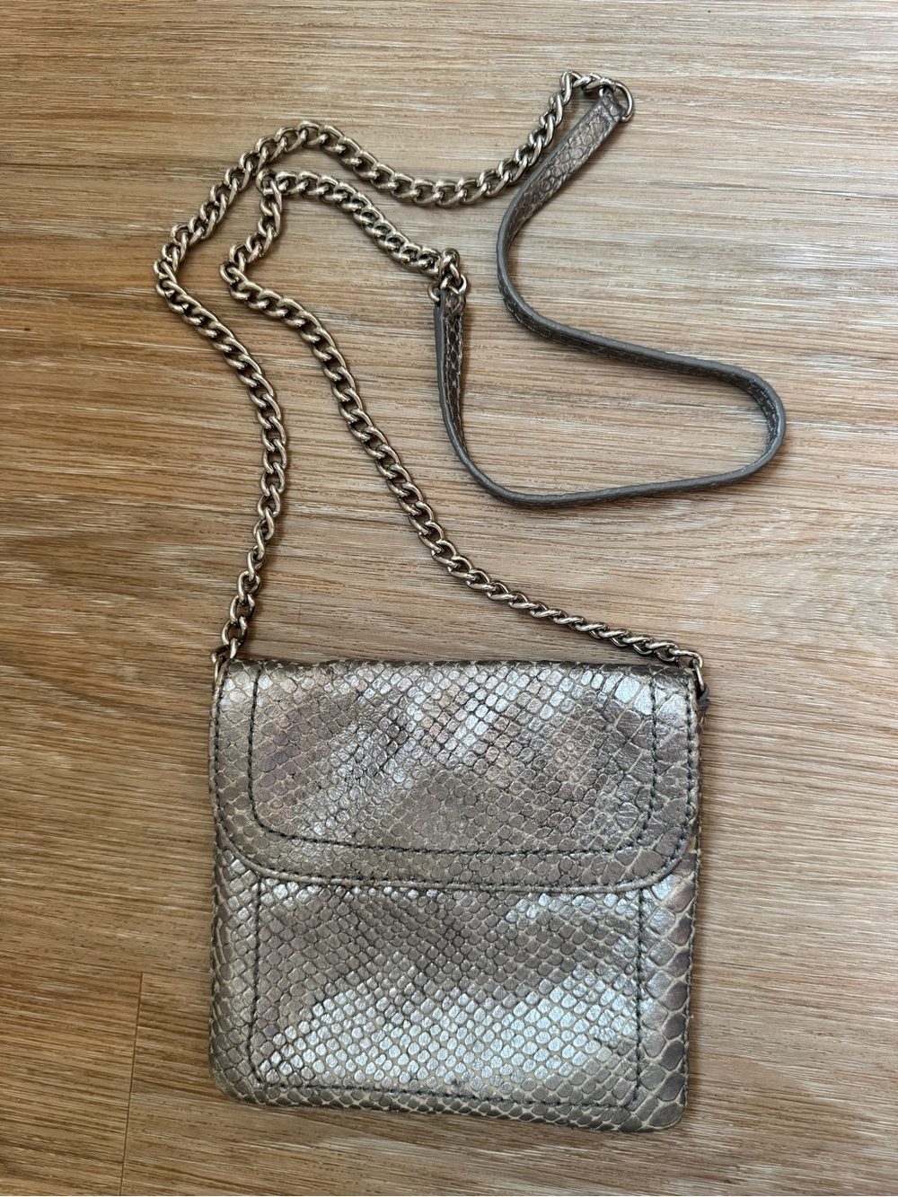 Banana Republic Metallic Leather Snakeskin Chain Crossbody Going Out Bag Purse